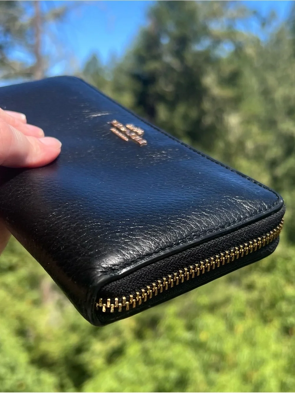 Coach accordion zip